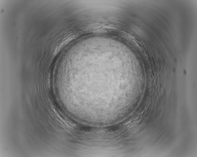 X0000057560299200510141355