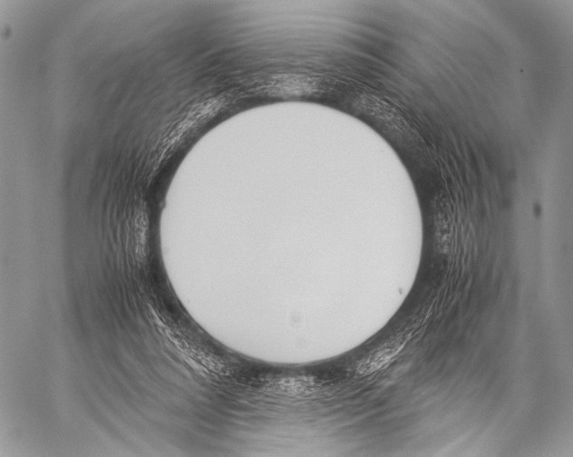 X0000057560304200510141355