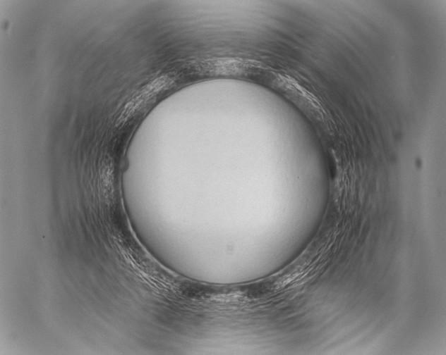 X0000057560306200510141355