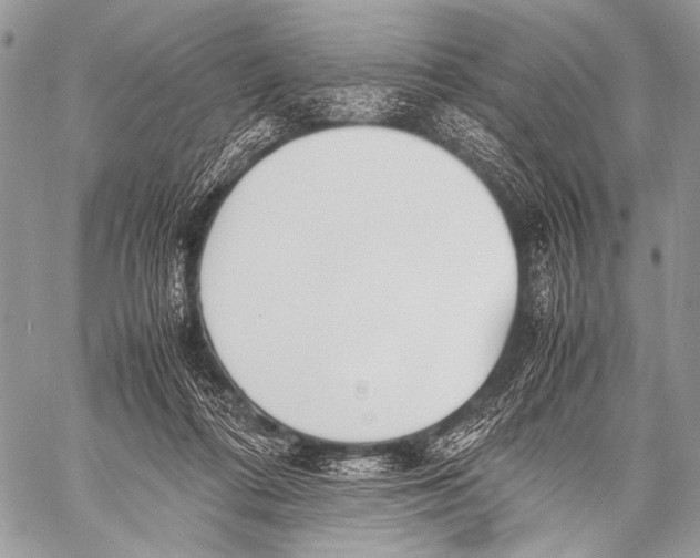 X0000057560312200510141355