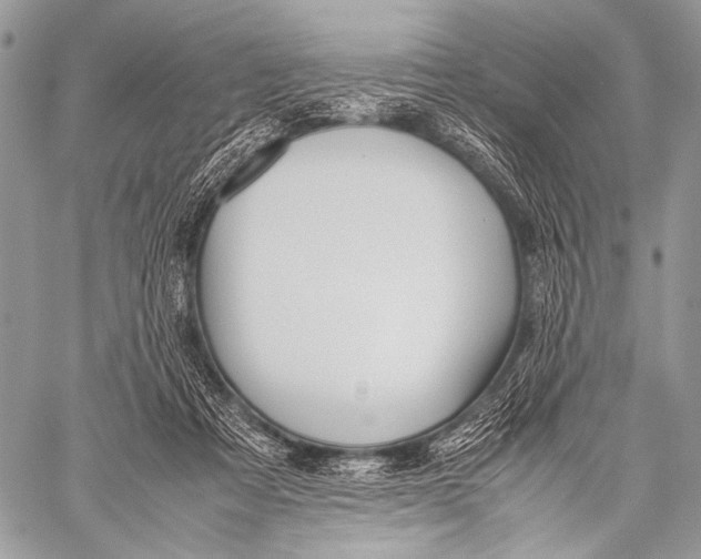 X0000057560313200510141355