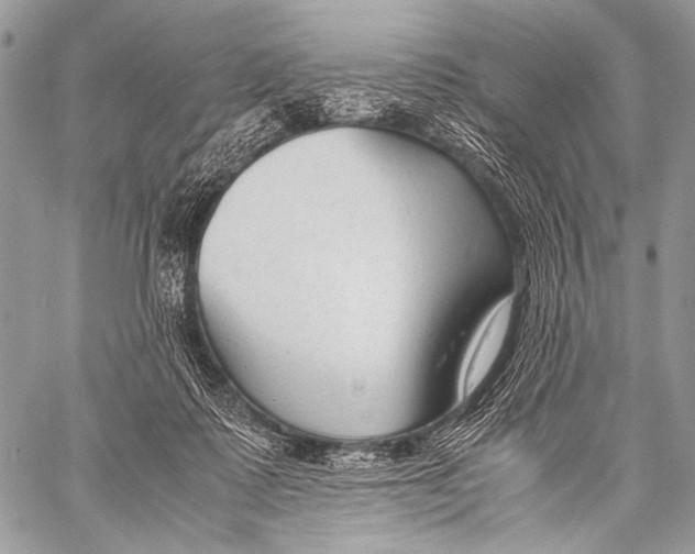 X0000057560315200510141355