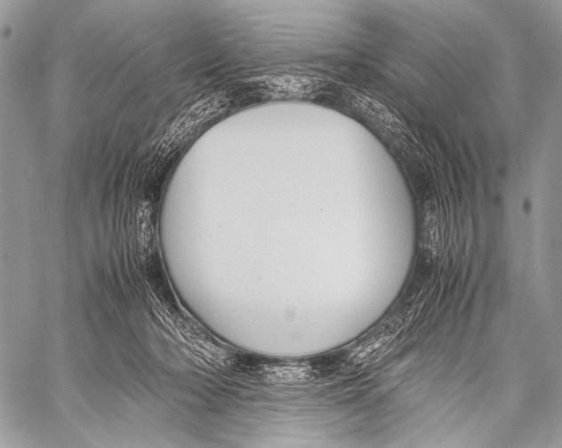 X0000057560318200510141355