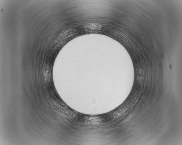 X0000057560324200510141355