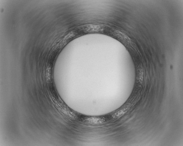 X0000057560326200510141355