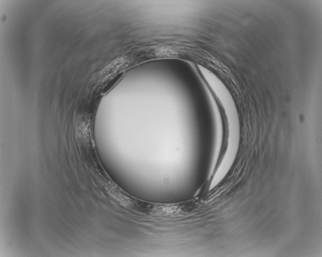 X0000057560329200510141355