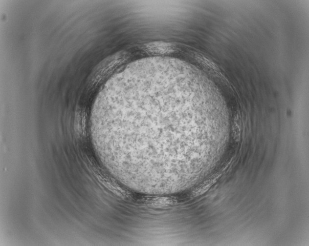 X0000057560330200510141355