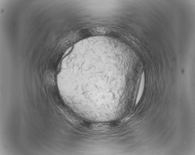 X0000057560331200510141355