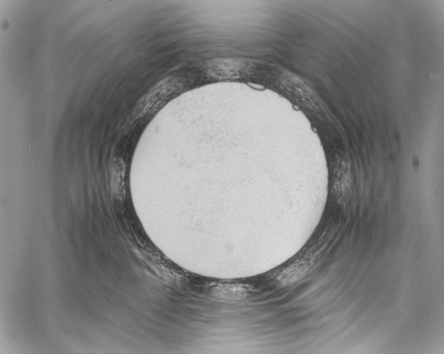 X0000057560332200510141355