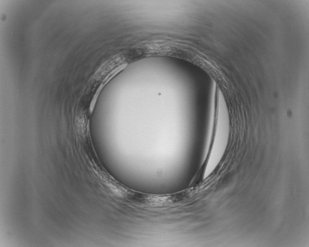 X0000057560333200510141355