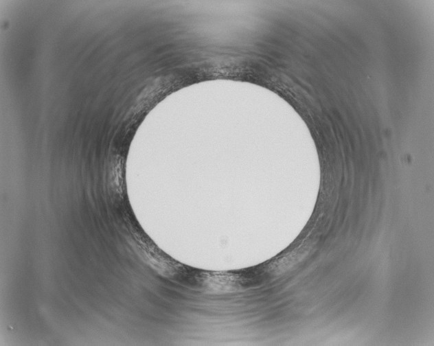 X0000057560336200510141355