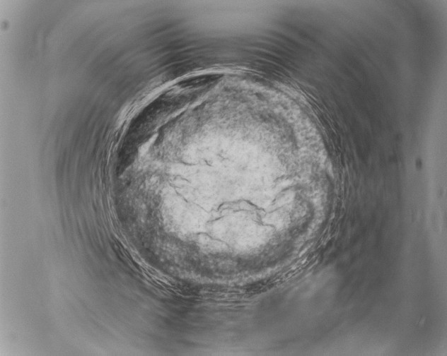 X0000057560337200510141354