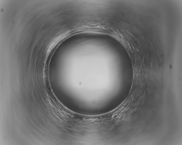 X0000057560340200510141354