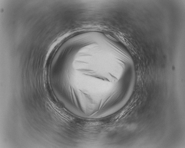 X0000057560342200510141354