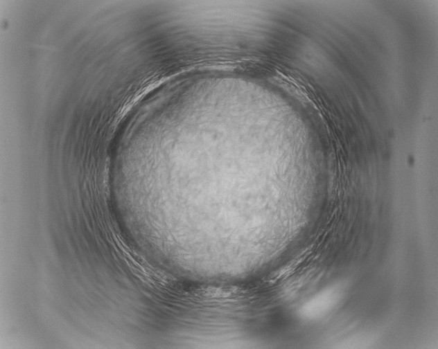 X0000057560346200510141354