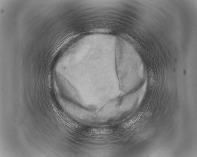 X0000057560351200510141354