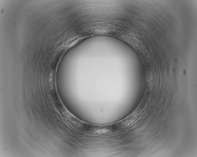 X0000057560360200510141354