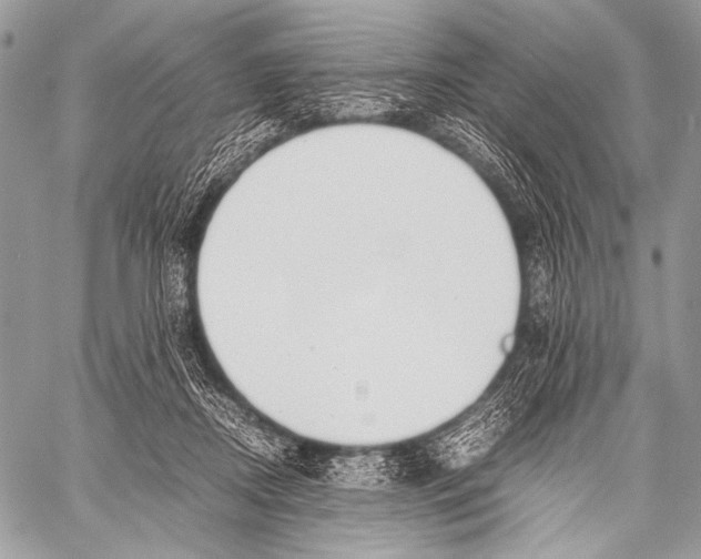 X0000057560362200510141354