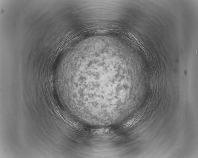 X0000057560366200510141354