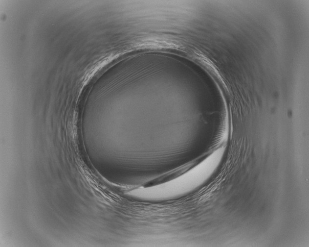 X0000057560387200510141354