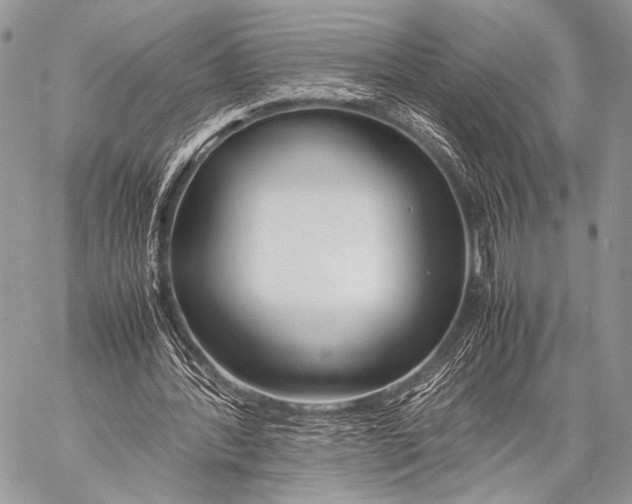 X0000057560388200510141354