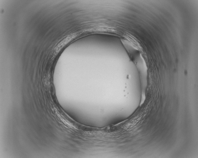 X0000057560389200510141354