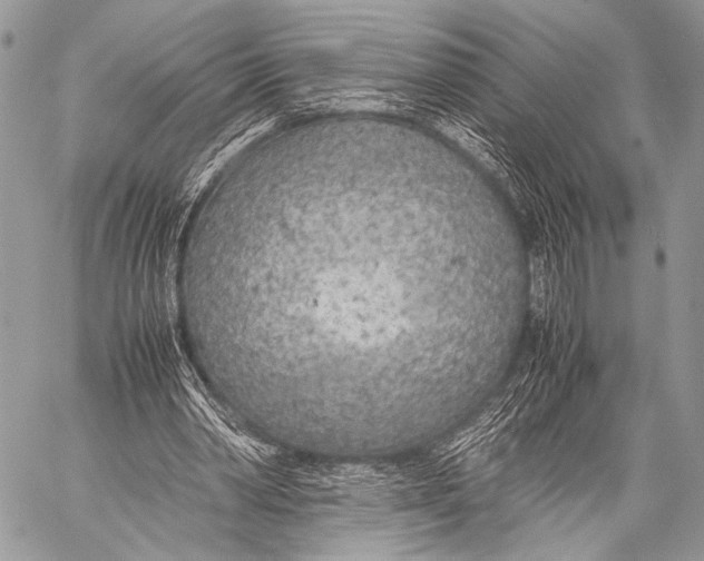 X0000057560390200510141354