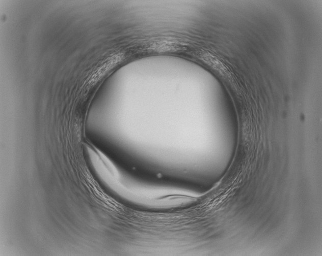 X0000057560393200510141354