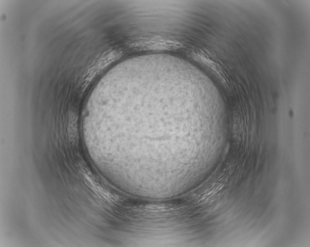 X0000057560394200510141354