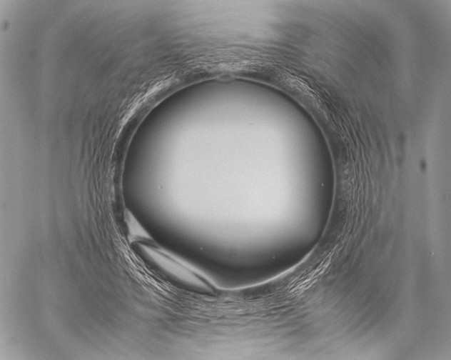 X0000057560395200510141354