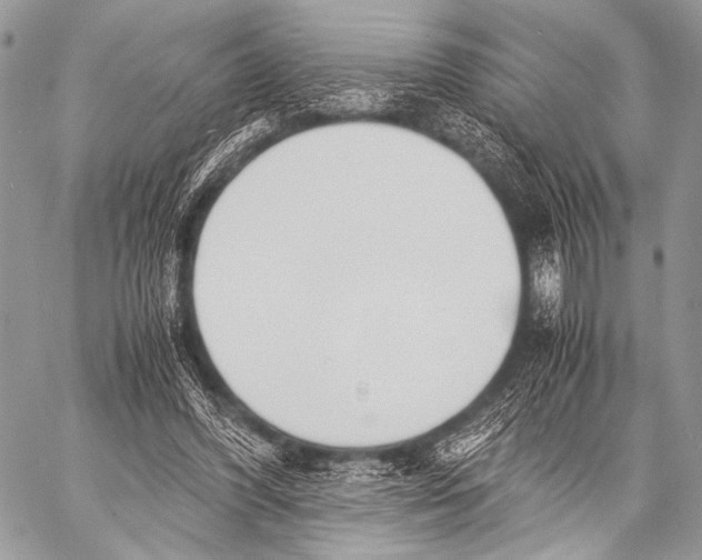 X0000057560396200510141354