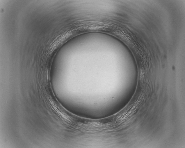 X0000057560397200510141354