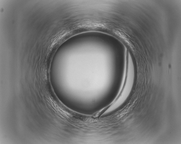 X0000057560399200510141354