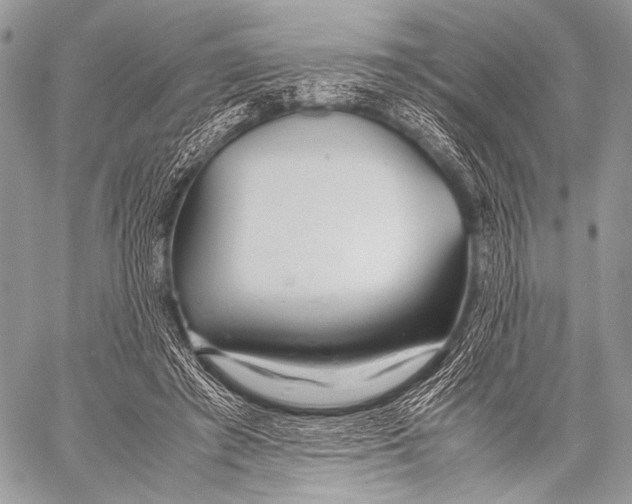 X0000057560401200510141354