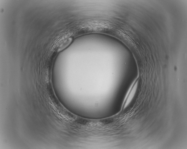 X0000057560403200510141354
