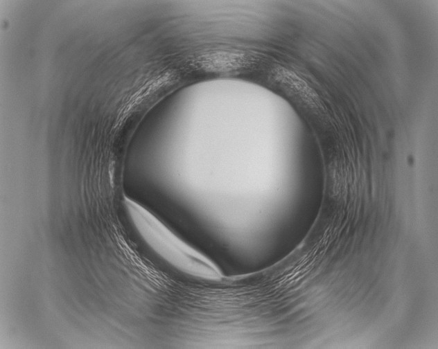 X0000057560404200510141353
