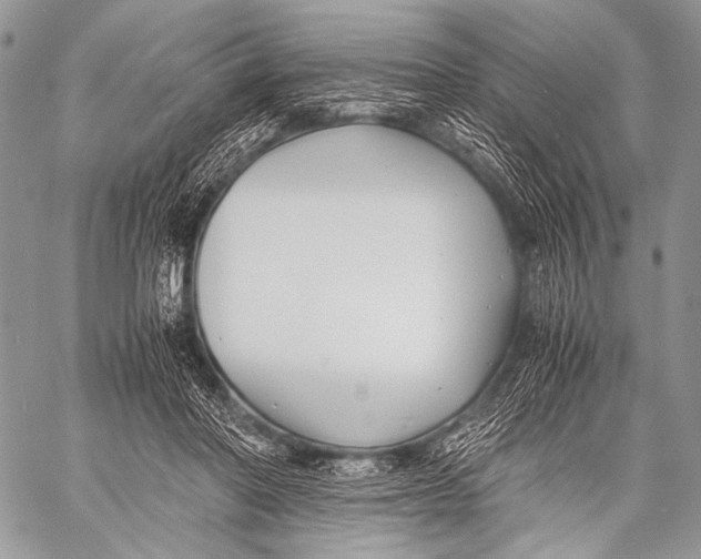 X0000057560406200510141353