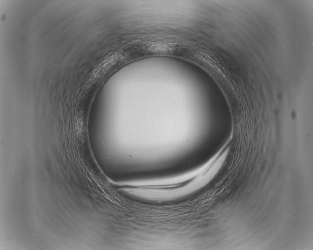 X0000057560407200510141353