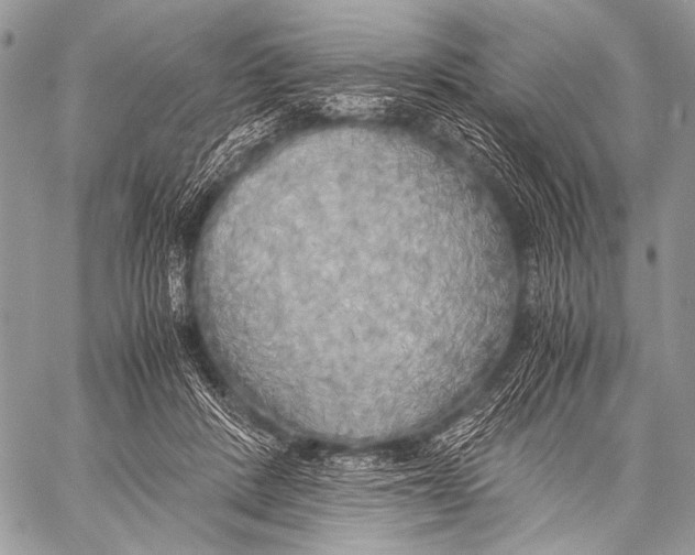 X0000057560408200510141353