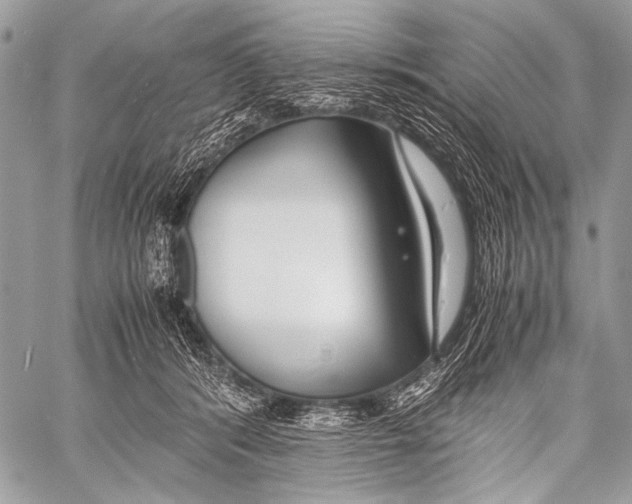 X0000057560416200510141353
