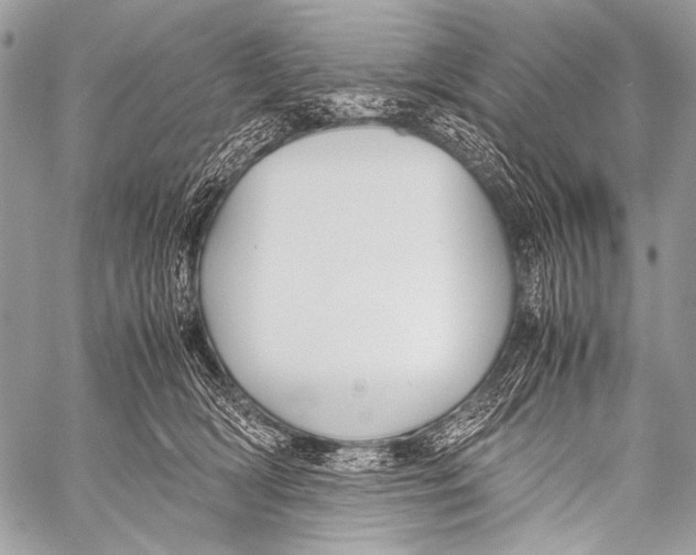 X0000057560418200510141353
