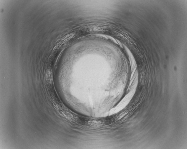 X0000057560419200510141353