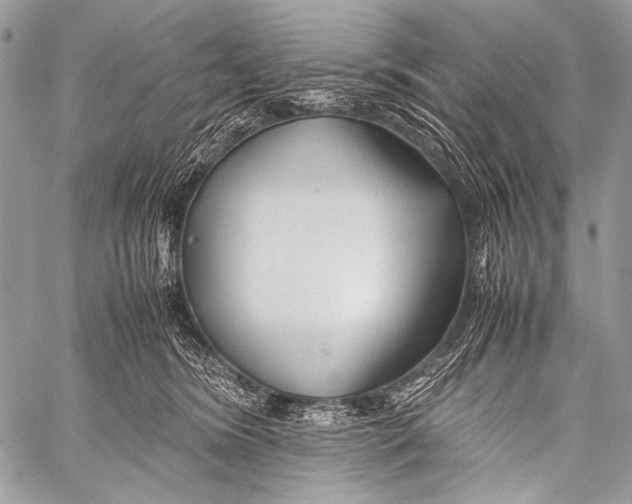 X0000057560420200510141353