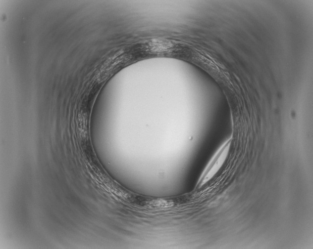 X0000057560421200510141353