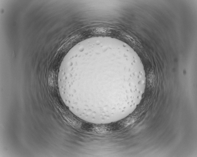 X0000057560423200510141353