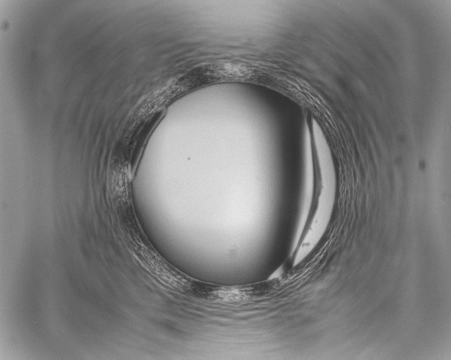 X0000057560425200510141353