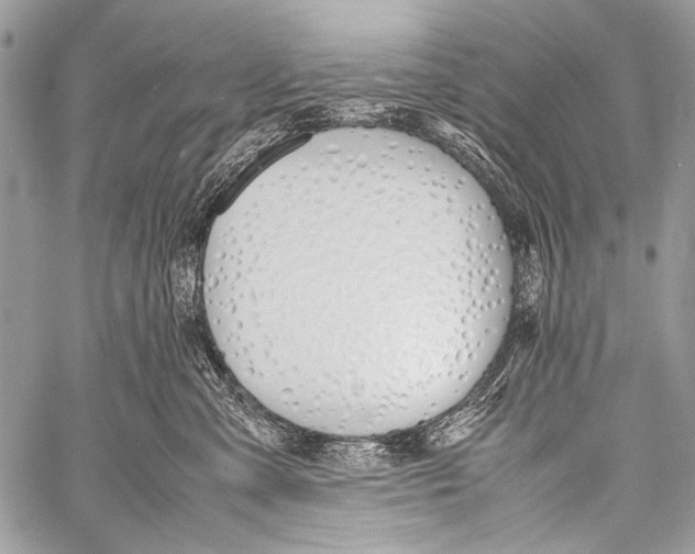 X0000057560427200510141353