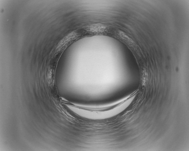 X0000057560428200510141353