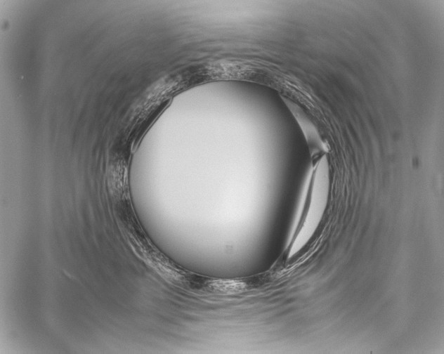 X0000057560429200510141353