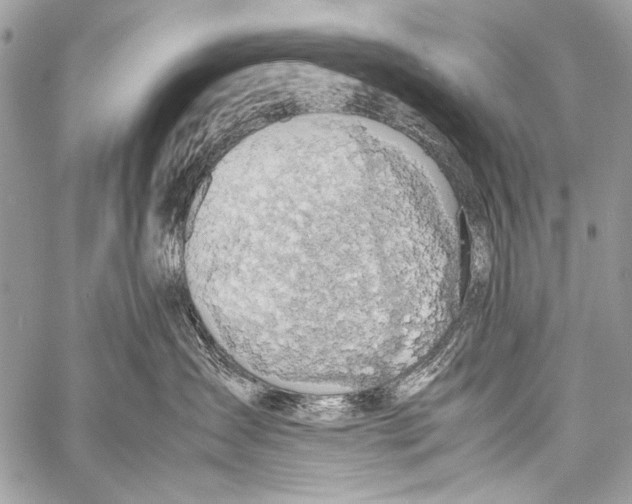 X0000057560431200510141353